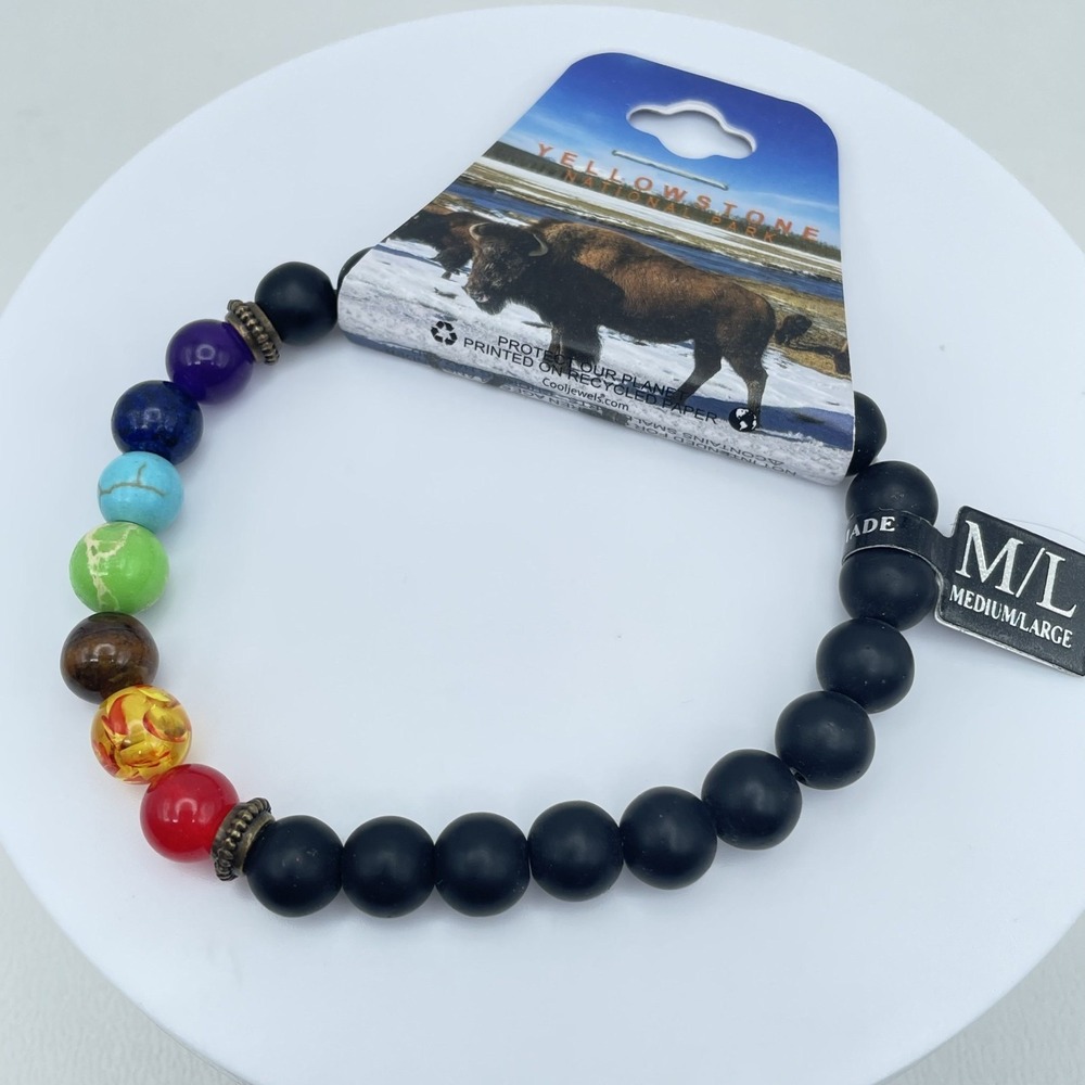 Yellowstone National Park Chakra Bracelet Matte Onyx Semi-Precious Stone
